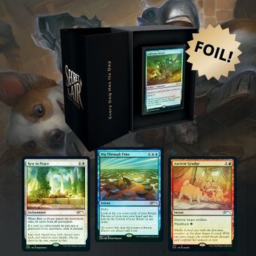 Magic the Gathering Secret Lair - Every Dog Has Its Day - Foil