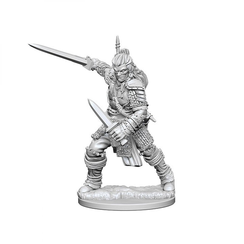 Pathfinder Deep Cuts Unpainted Miniatures - Human Male Fighter