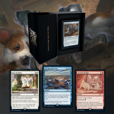 Magic the Gathering - Secret Lair - Every Dog Has Its Day