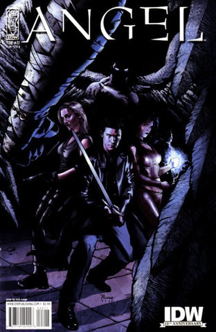 Angel #22b (2009) Volume 3 - Variant Cover