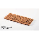 Gamers Grass - Grass Tufts - Shrubs - Autumn