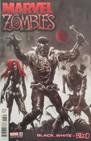 Marvel Zombies: Black, White & Blood