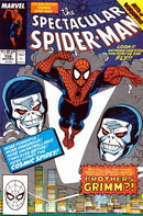 Spectacular Spider-Man