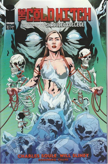 Cold Witch: A Tale of the Shrouded College