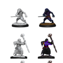 D&D Nolzurs Marvelous Unpainted Miniatures - Kenku Adventures