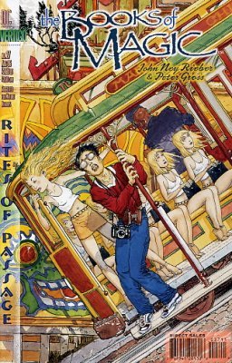 The Books of Magic #27 (1996) Vol. 2
