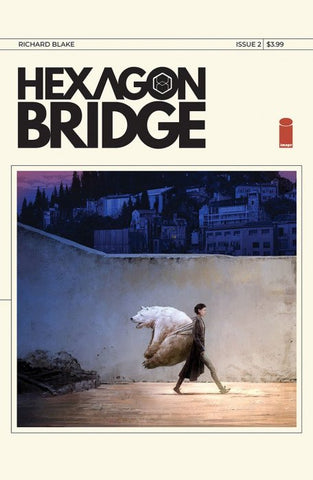 Hexagon Bridge #02 (2023)