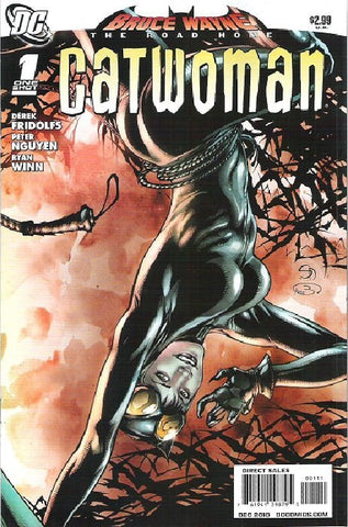 Bruce Wayne: The Road Home - Catwoman #01 (2010) One-Shot
