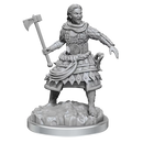 D&D Nolzurs Marvelous Unpainted Miniatures - Human Fighters