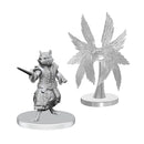 Pathfinder Battles Deep Cuts: Procyal (Raccoon Agathion) & Zoaem (Ring Archon)
