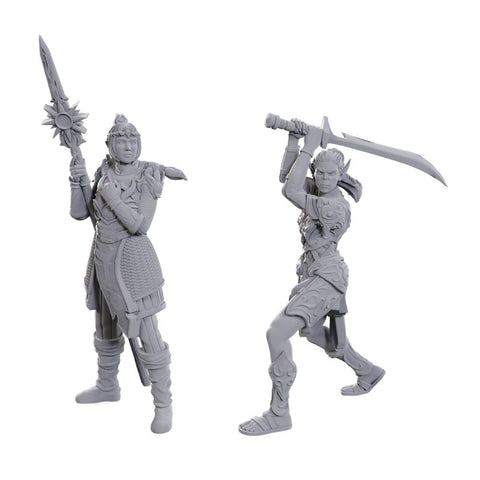 D&D Nolzur's Marvelous Miniatures - Special Edition – Baldur's Gate 3: Lae'zel & Shadowheart