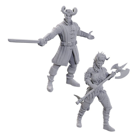 D&D Nolzur's Marvelous Miniatures - Special Edition – Baldur's Gate 3: Wyll & Karlach