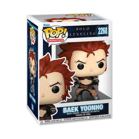 Solo Leveling - Baek Yooho Pop!