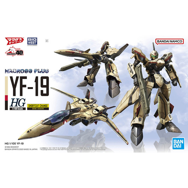 1/100 YF19