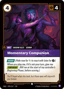 Momentary Companion