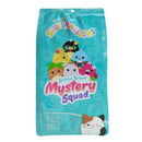 Squishmallows 8 inch Scented Mystery Squad Assorted S1
