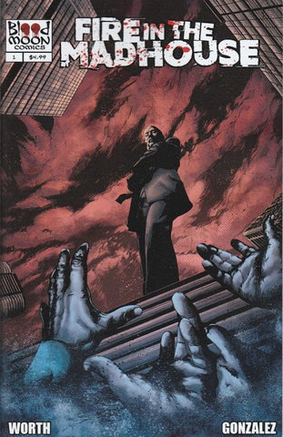 Fire in the Madhouse #01 (2024) One-Shot