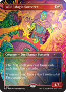 Magic the Gathering - Secret Lair x Dungeon's & Dragon's - Shadows over Baldur's Gate (Foil Edition)