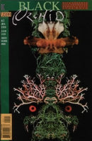 Black Orchid