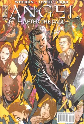 Angel: After the Fall #16b (2009) Variant Cover