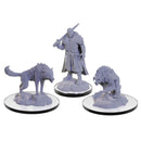 D&D Nolzur's Marvelous Miniatures -  Loup Garou