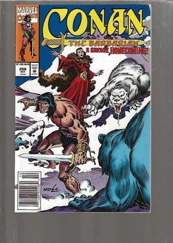 Conan The Barbarian #258 (C6) (1970-1994) Volume 1