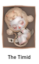 POP MART - Skull Panda - Everyday Wonderland Blind Box