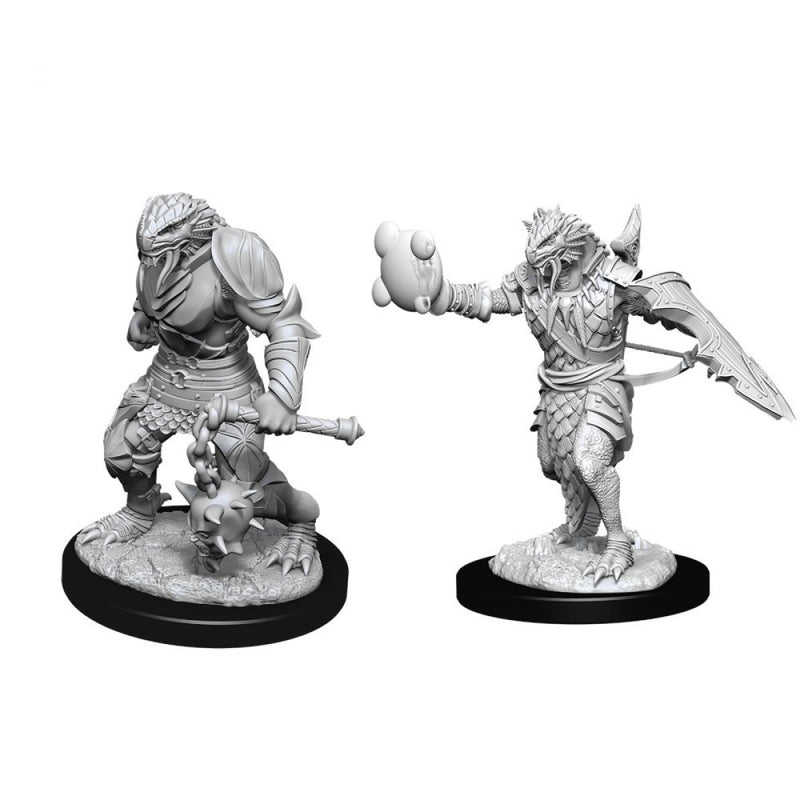 D&D Nolzurs Marvelous Unpainted Miniatures - Male Dragonborn Paladin