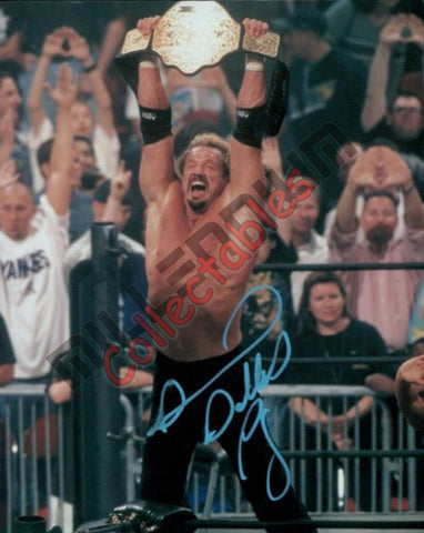 Diamond Dallas Page