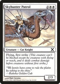Skyhunter Patrol [Tenth Edition]