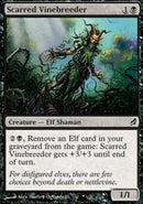 Scarred Vinebreeder [Lorwyn]