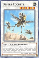 Desert Locusts [CHIM-EN082]