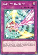 Bye Bye Damage [CHIM-EN096]