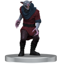 Dungeons & Dragons - D&D Icons of the Realms Adventure in a Box Wererat Den