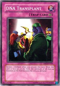 DNA Transplant [DR2-EN109]