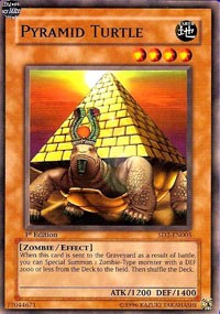 Pyramid Turtle [SD2-EN005]