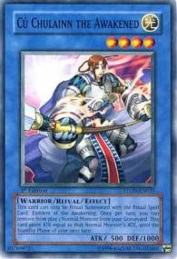 Cu Chulainn the Awakened [STON-EN033]