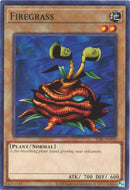 Firegrass [LOB-EN018] Common