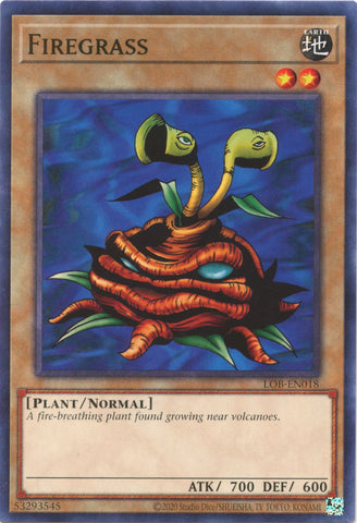 Firegrass [LOB-EN018] Common