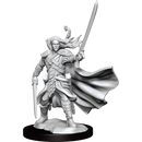 D&D Frameworks Elf Ranger Male