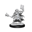 D&D Frameworks Dwarf Cleric Female
