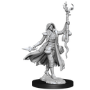 D&D Frameworks Human Druid Female