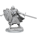 D&D Frameworks Human Male Fighter