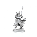 D&D Frameworks Dragonborn Paladin Male