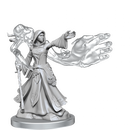 D&D Frameworks Elf Wizard Female