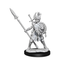 D&D Frameworks Human Fighter Female