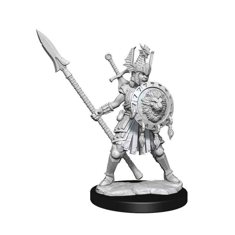 D&D Frameworks Human Fighter Female