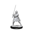 D&D Frameworks Human Fighter Female