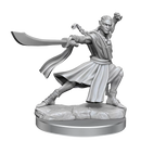 D&D Frameworks Elf Monk Male