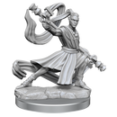 D&D Frameworks Elf Monk Male